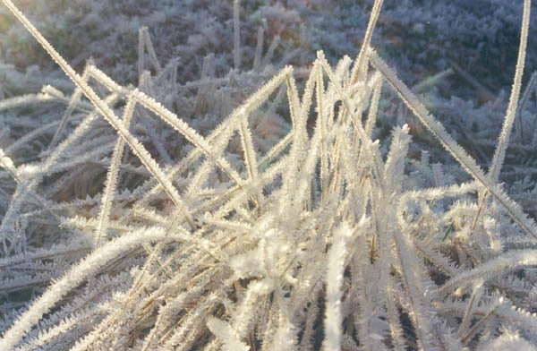 Snøkrystaller 16.12.01