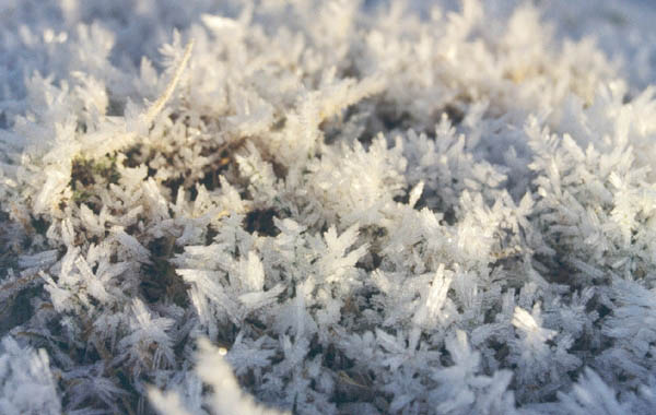 Snøkrystaller 16.12.01