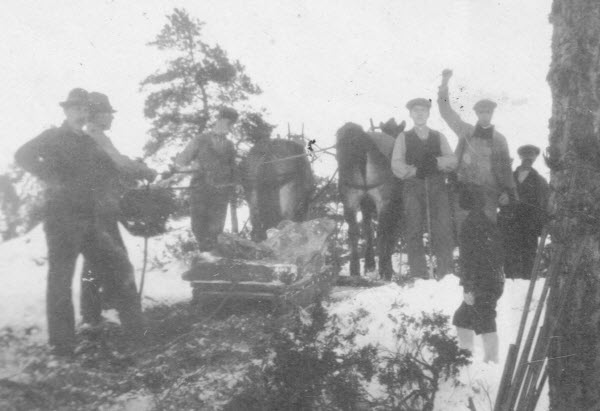 Steinslede 