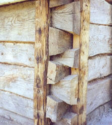 Vegg under kledning