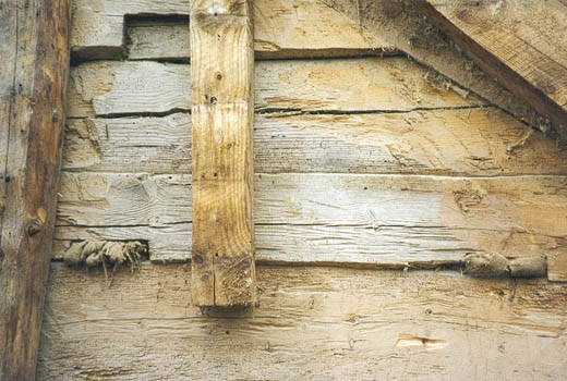 Vegg under kledning 