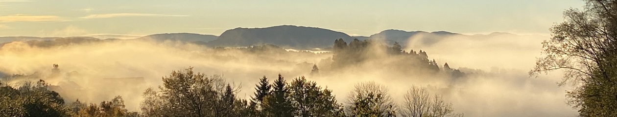 tveitosida